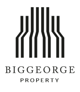 biggeorge_logo